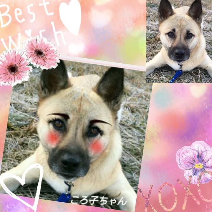 Ad08af08 ce9c 4e7d 9e63 bc58e6cdbcf0