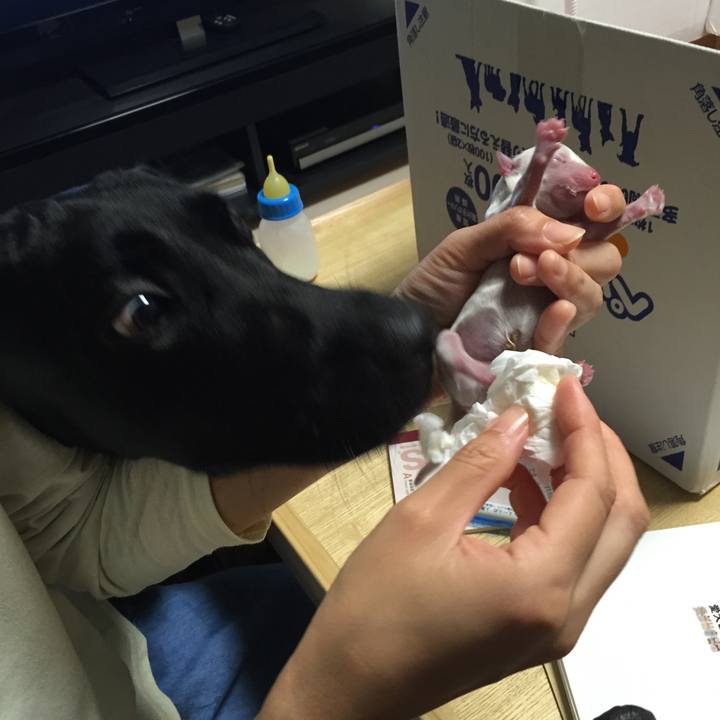 Ad08c561 8fd1 40ae 8798 ad19b25d0b38