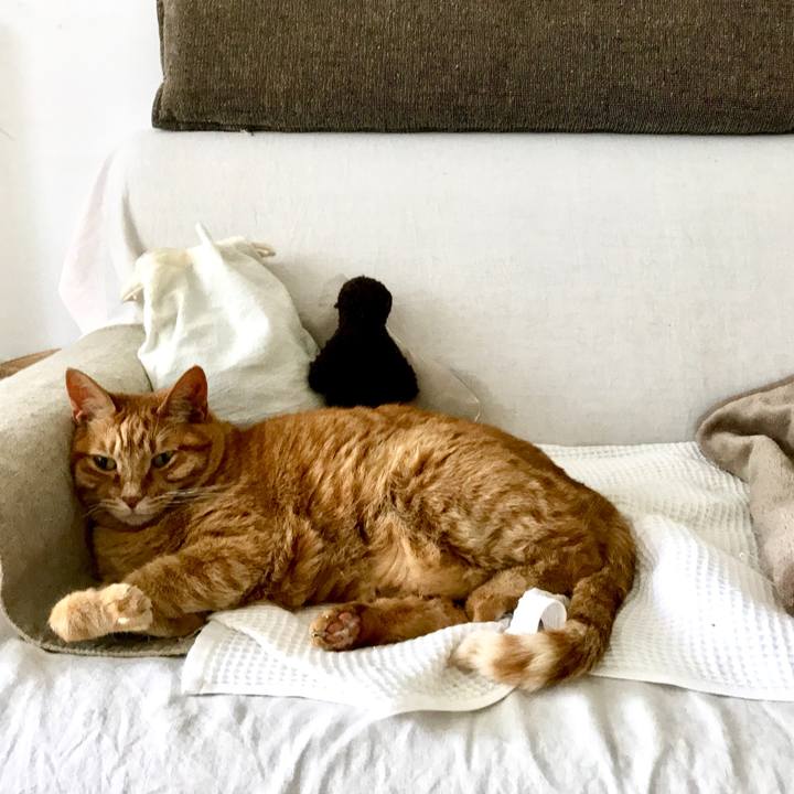 Ad08e115 9678 4a4e b224 7aa8fb72a720