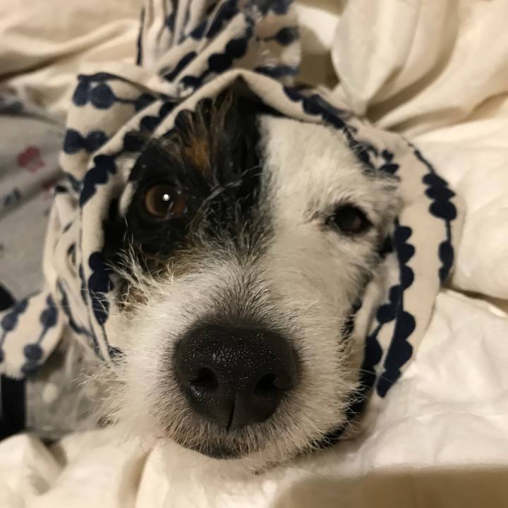 Ad08eff6 f086 41df 9958 6c3022daa24f