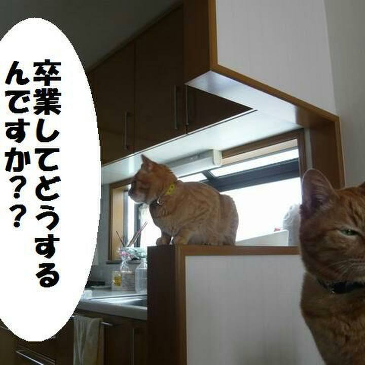 Ad092490 a21d 466d 96b7 ea1e0ffec7f9