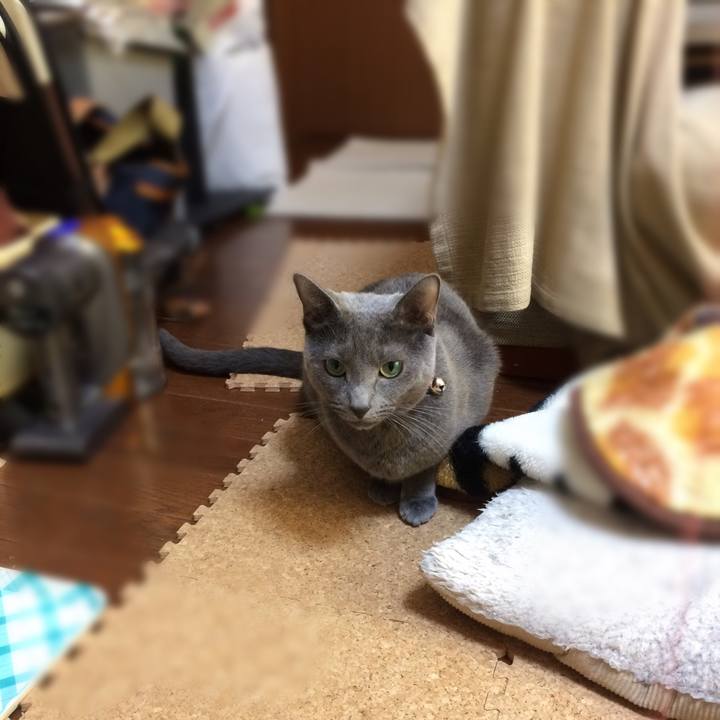 Ad09df1e 77c4 4565 92ef bbc97ea2d94d