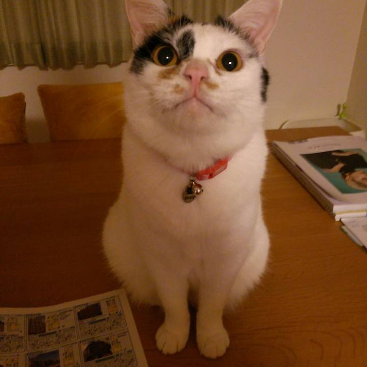 Ad09ea31 ca0e 4c32 af48 0ca4c41d7ae9