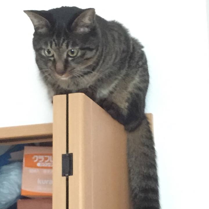 Ad09ef63 5163 441c a59c f89628e55198