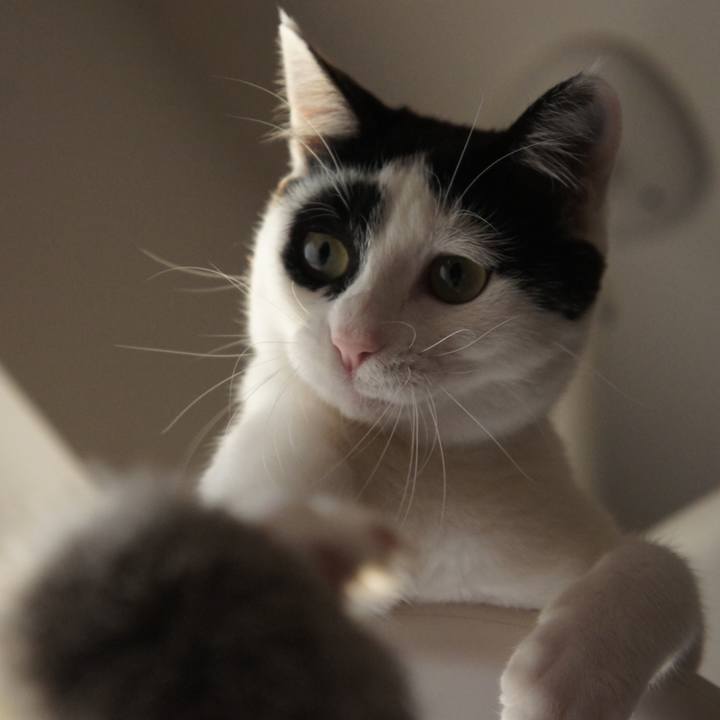 Ad0a5591 0d51 477f b42d eabf1cb96f19