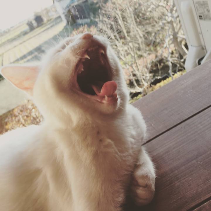 Ad0a6acf a95b 4b63 ab3b f2cb07de21f6