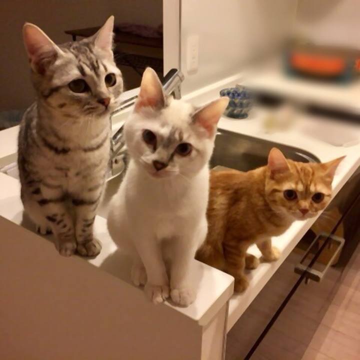 Ad0abd94 5ec1 4573 8b61 4d2bf33c0952