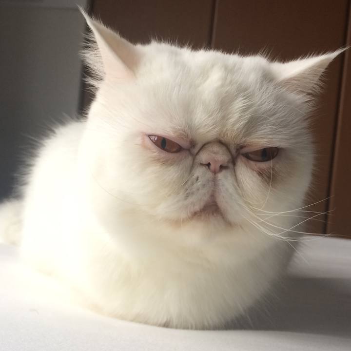 Ad0b0db0 025d 4913 9199 31e8221ac7ce