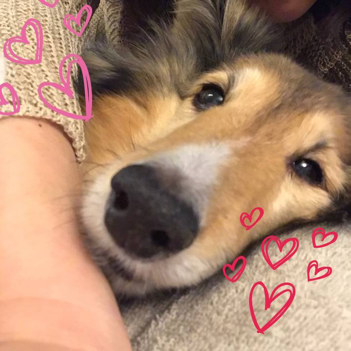 Ad0b1425 8857 4c95 9896 4dad10ac8930