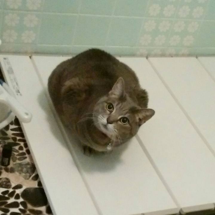 Ad0b182c 5718 4bb4 9b63 2c91956c6637