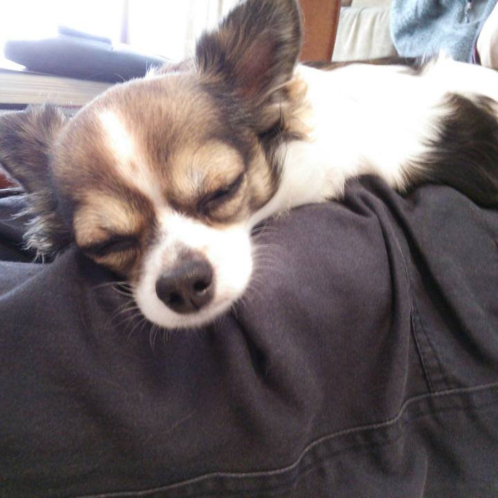 Ad0b3ec6 fe7d 4562 bbe9 50e8f2f0f240