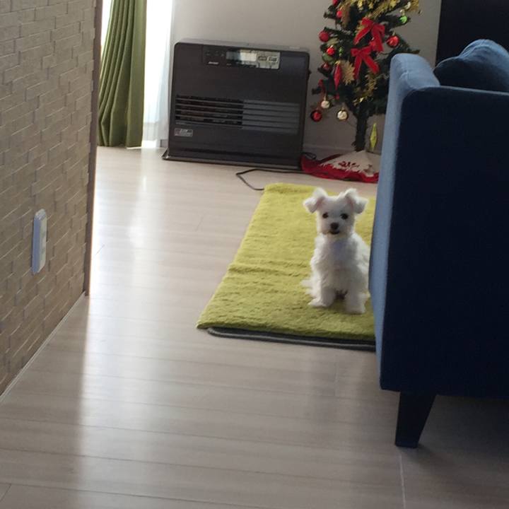 Ad0babfb bca8 4625 858d 646a3a786ce6