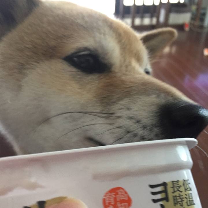 Ad0bbe40 9935 46cc b594 8dca86685bb6