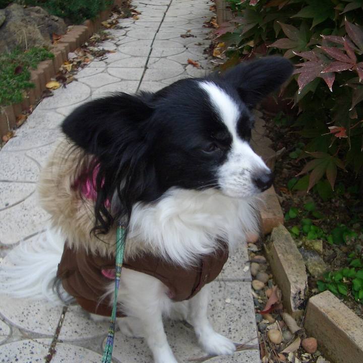 Ad0bce65 13e7 44e7 8541 61bdf2c1da5f