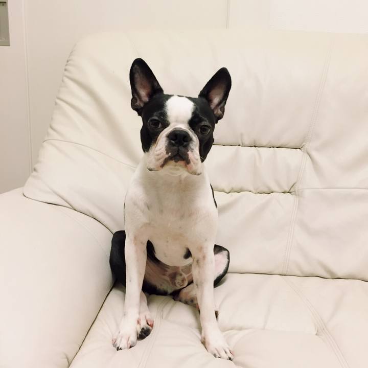 Ad0c6a90 899a 4bf4 a296 98efb37d56d8