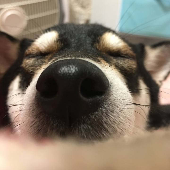 Ad0ca7f7 5066 4d54 8144 774f62e388b5