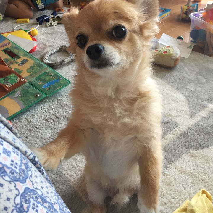 Ad0d3c5b b038 4d24 9777 e1547a2f2282