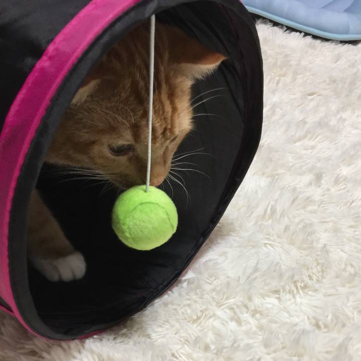 Ad0d5506 3fe9 4811 8be7 726e68701373