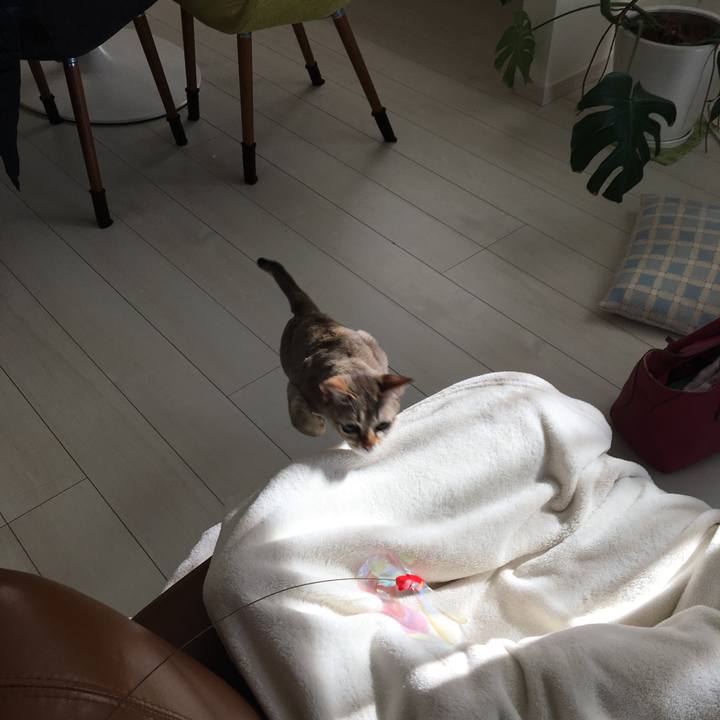 Ad0decf4 8f2c 4a13 a0f3 51bec7beecd0