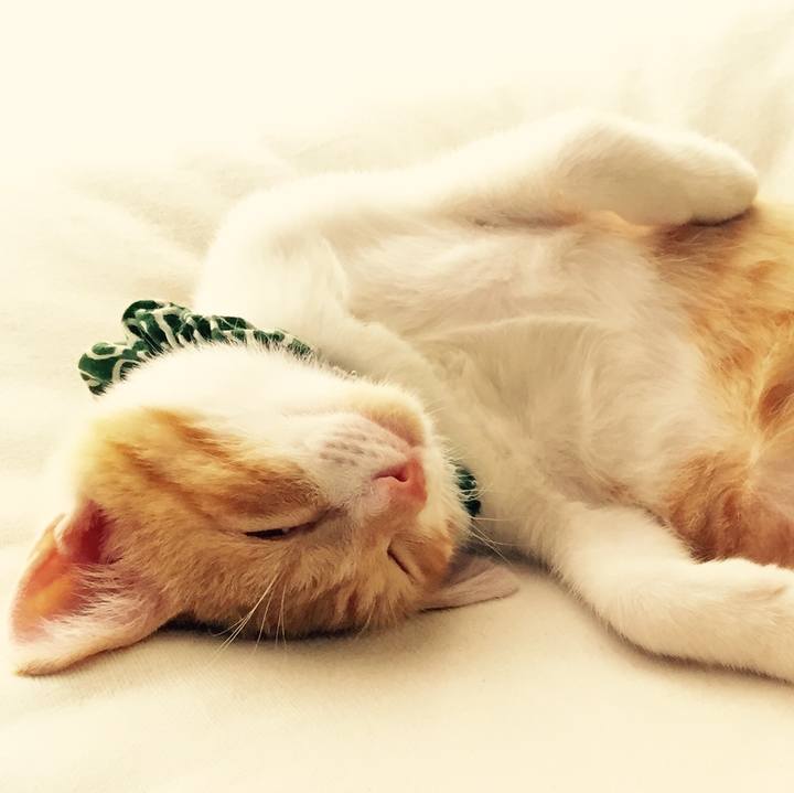 Ad0e435b 5910 418b 8c11 b8124ef37bcd