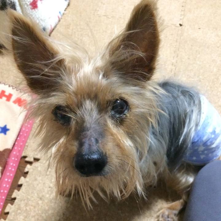 Ad0f2725 625d 40d8 8c53 4619107b6877