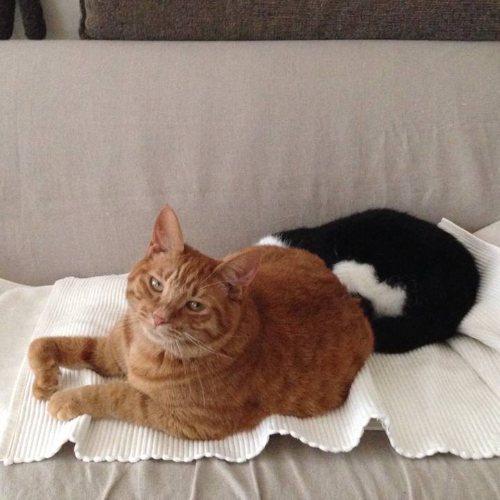 Ad0fb929 a7d9 4e3f 8f8c 8f9f94f24ecf