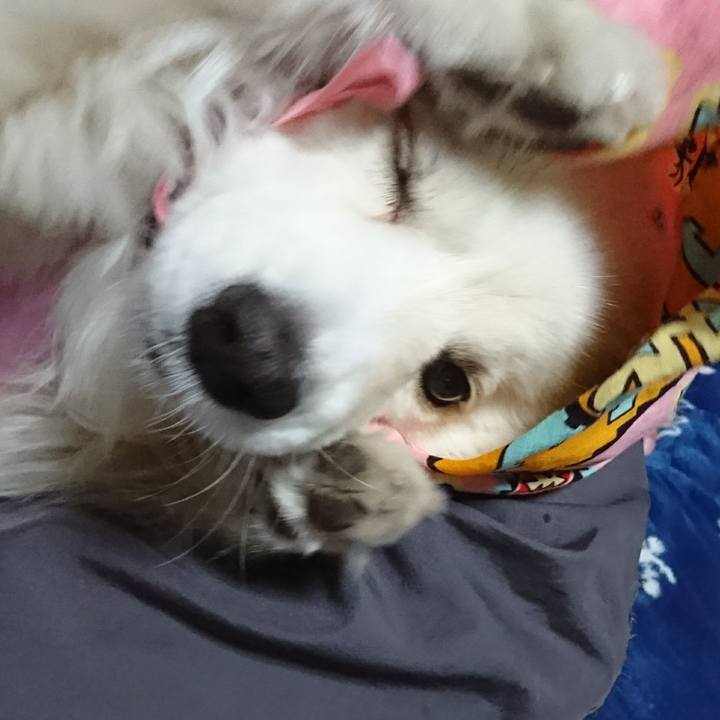 Ad0fe36d c796 402a a082 b2386123f03e