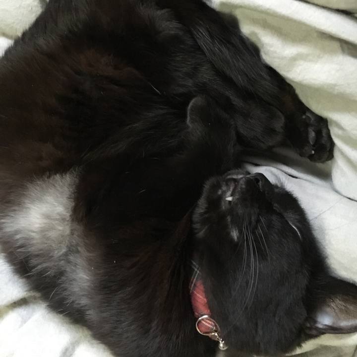 Ad101caa 8ae7 42eb 9bdd bda5e006b61b