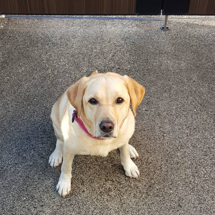 Ad10ee9d 724b 49c6 bd83 04b1b09b89e2