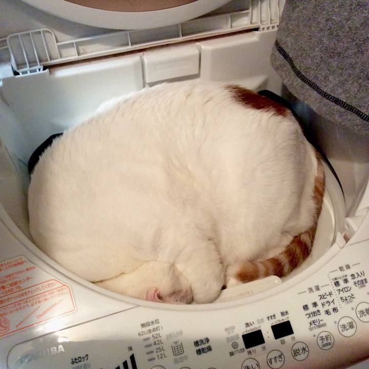 Ad111c19 cce9 41e8 9033 2c2ffc82c3ba