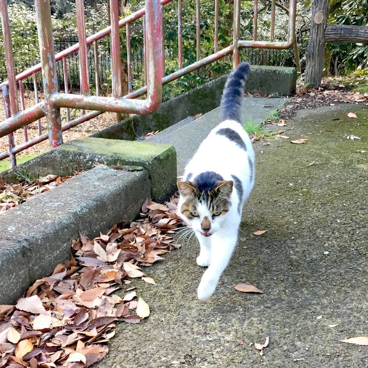 Ad111fb7 9aec 4a0c bb81 1eb2bb2a8c57