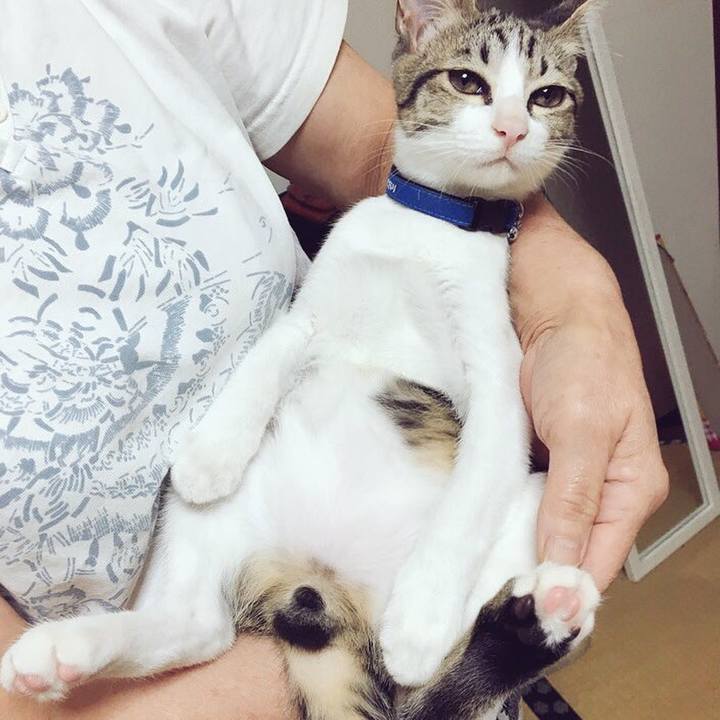 Ad121eb9 673d 4c9a ac70 e95c9a01cbd5