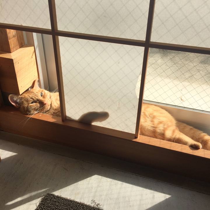 Ad138cca 9f0f 4376 bc73 c7ab2e8e18d3