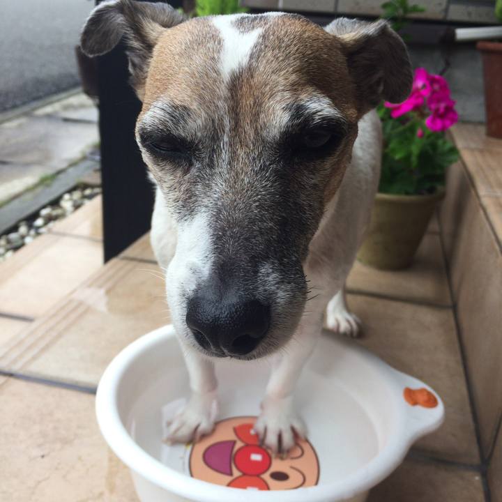 Ad1410ea ed4f 48ce bc86 8a9da1f0c36d