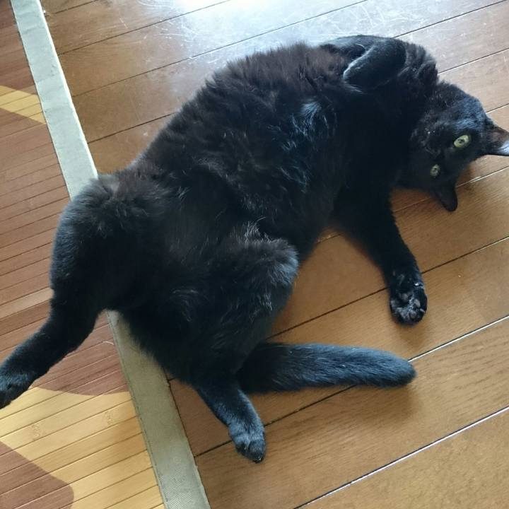 Ad1493fc 1013 4113 9884 1e43084c74f5