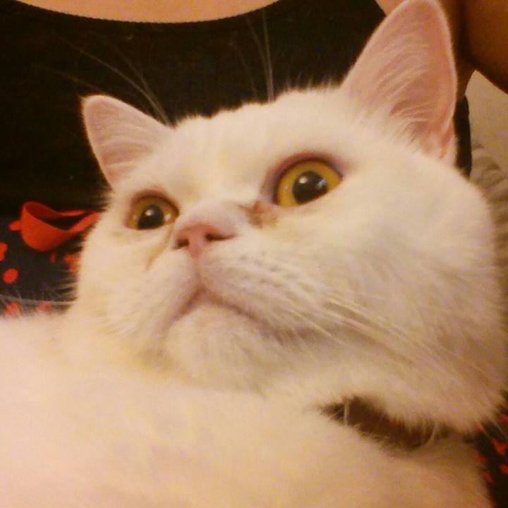 Ad152db8 4fe1 4efb 903a 441421cd063b