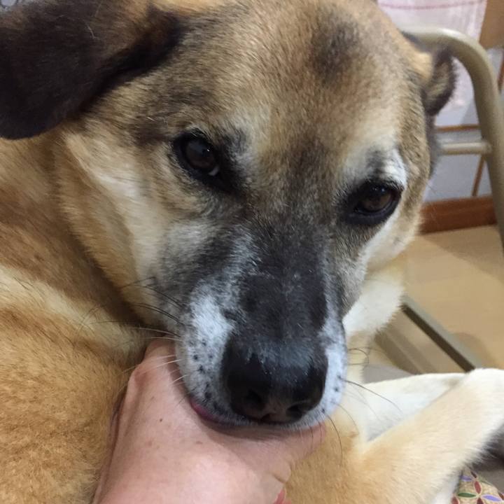 Ad153450 26cc 48bc a686 c4d0c7d6b677