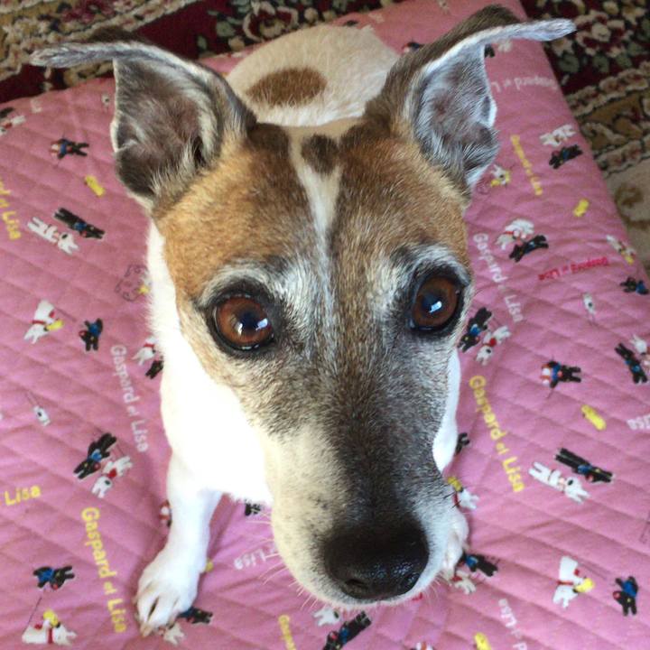 Ad156056 28bb 456c 83d8 daf43bf54e1d