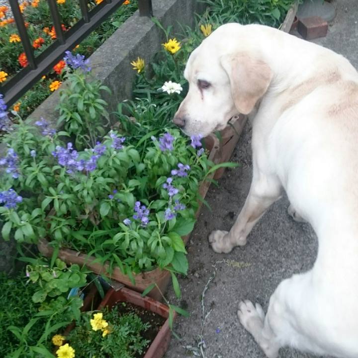 Ad157cf8 870a 4375 a146 ffc3c7e2f337