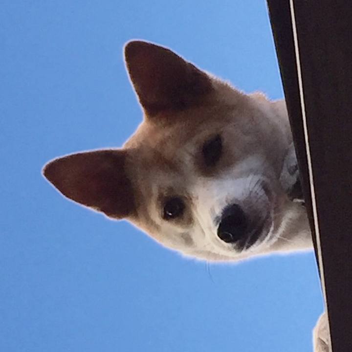 Ad167a99 973c 4e18 8dde 1def5c2b674a