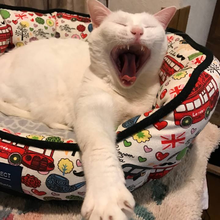 Ad16d1e0 c203 401d b113 919df8f1b4cb