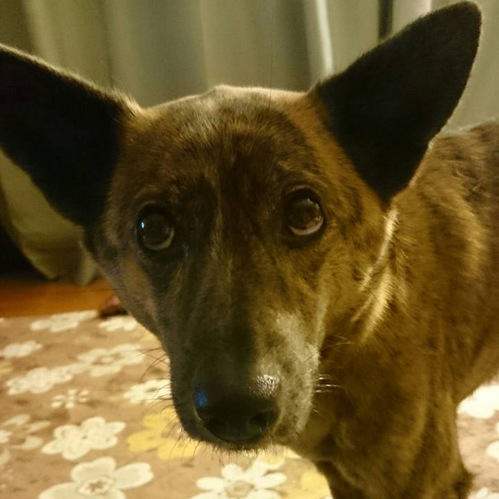 Ad16ec38 0d77 4a22 a435 a0232462bbb0