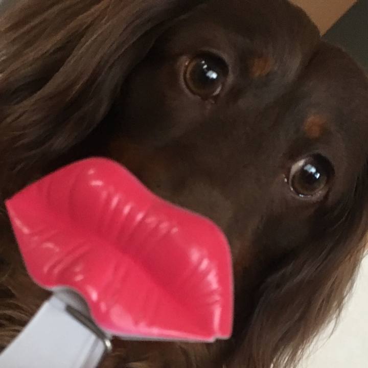 Ad172a9d f658 4e26 89ee fa8826e95cff