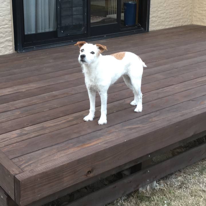 Ad176cd0 0c28 4cbc bd1f 589a0dd7e798