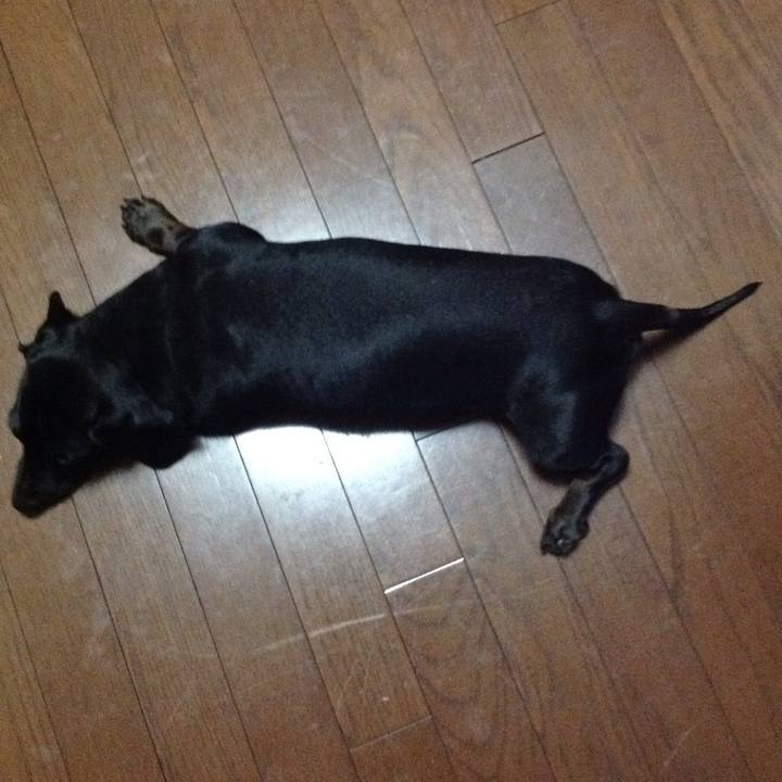 Ad183580 f024 42c1 8584 d372d734c617