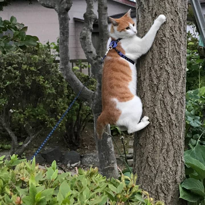 Ad184c0a dcb3 433d af79 4c95e953a295