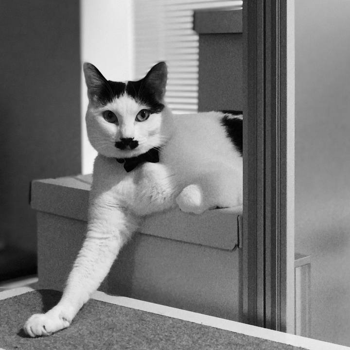 Ad18dfdb 4855 4712 84de 5fb987c6f76f