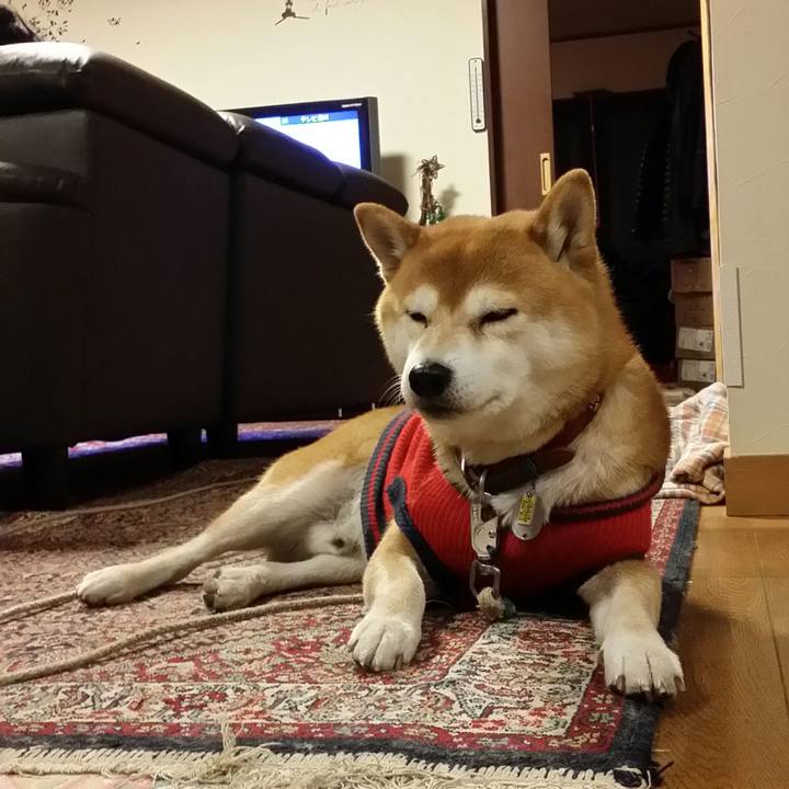 Ad18e6a6 645c 49de af7c b0cb1b1dd88f