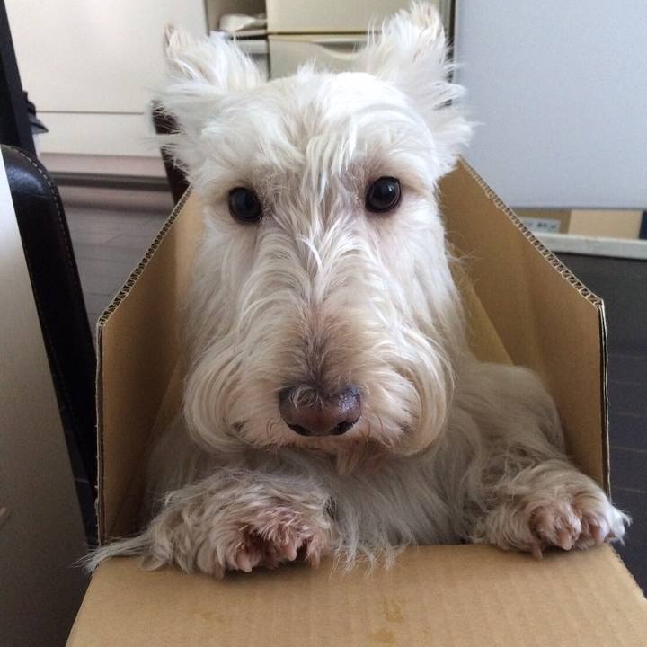 Ad1993ab 9cc2 43ef a8d4 fec114a239a4