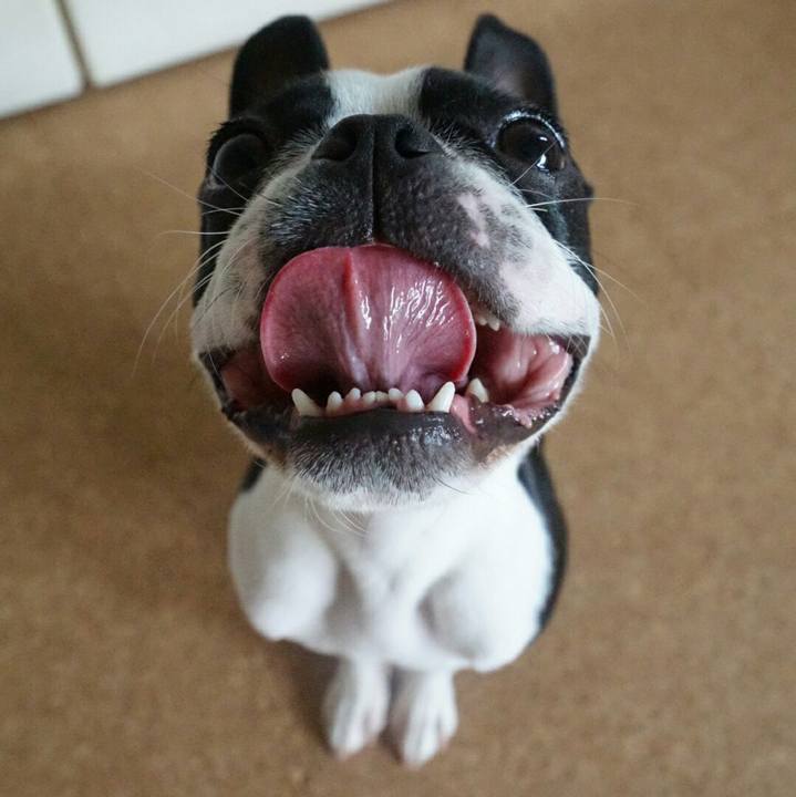 Ad1a4cef d3d8 4c61 ae12 32ec9a311aa8